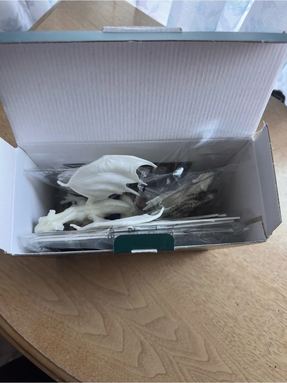 Dragon Painting Kit Box - Fantasy Dragon Artwork